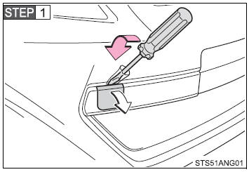 To protect the bodywork, place a rag between the screwdriver and the vehicle