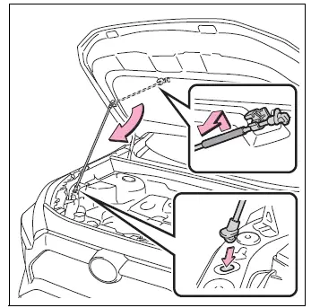 Hood support rod inserted into its retaining slot