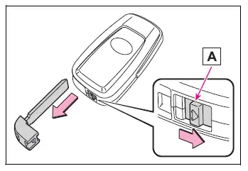 Electronic key with removable mechanical key and release lever
