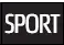Sport driving mode indicator symbol