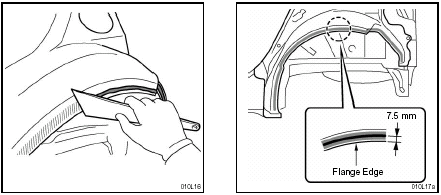 6. Application of Adhesive to the Body