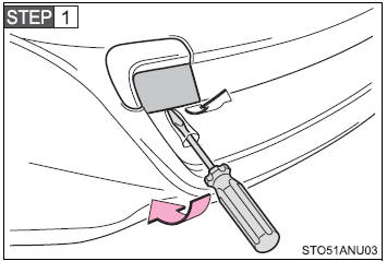 To protect the bodywork, place a rag between the screwdriver and the vehicle